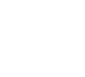 Logo Prodiz Narrowcasting